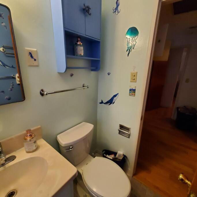 Sweet 2 Bedroom Close To U Of Oregon & Track!